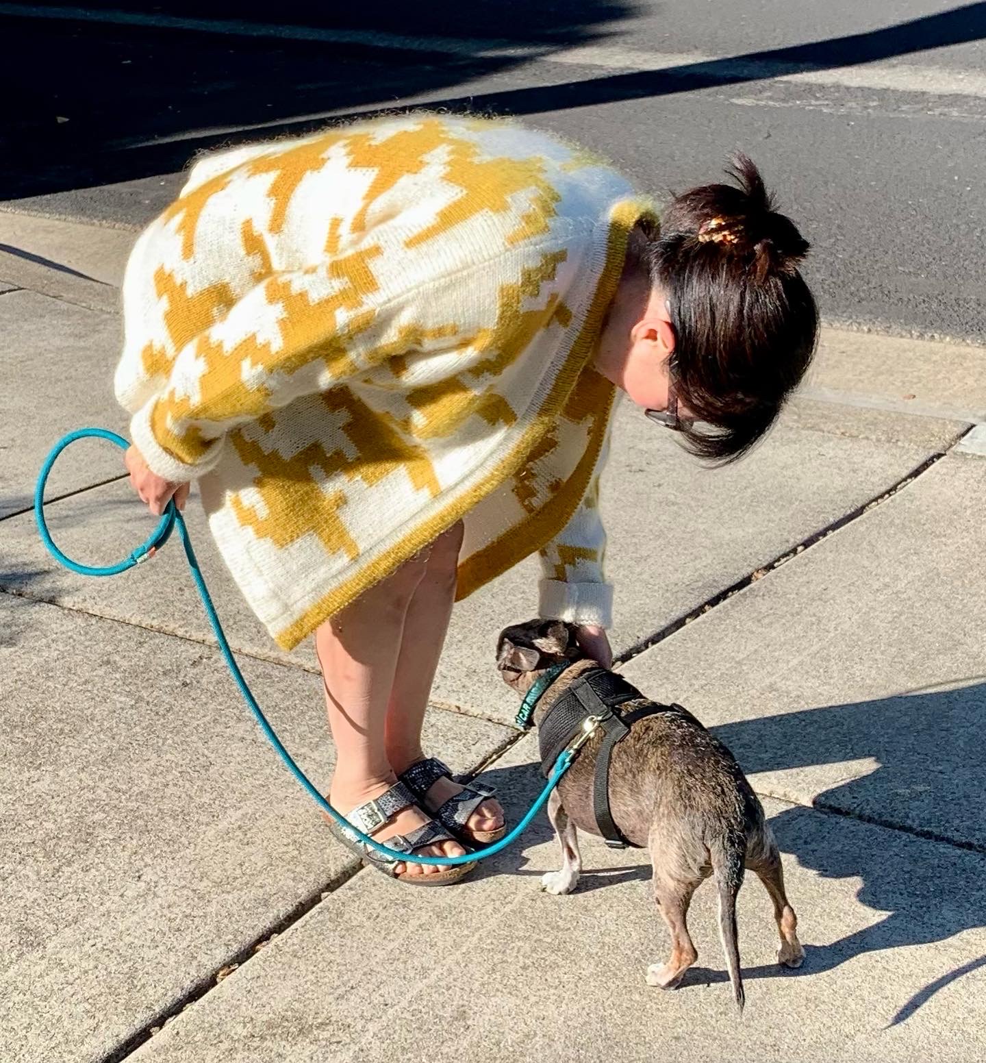 Hand-Knits and a Charming Chihuahua Make Saturdays Extra Special